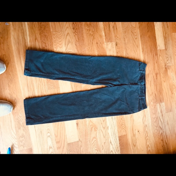 Talbots Pants - 4/$23 Talbots Velvet Corduroy Pants Sz 2P